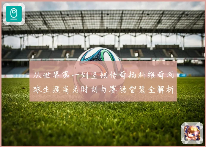 从世界第一到坚韧传奇扬科维奇网球生涯高光时刻与赛场智慧全解析