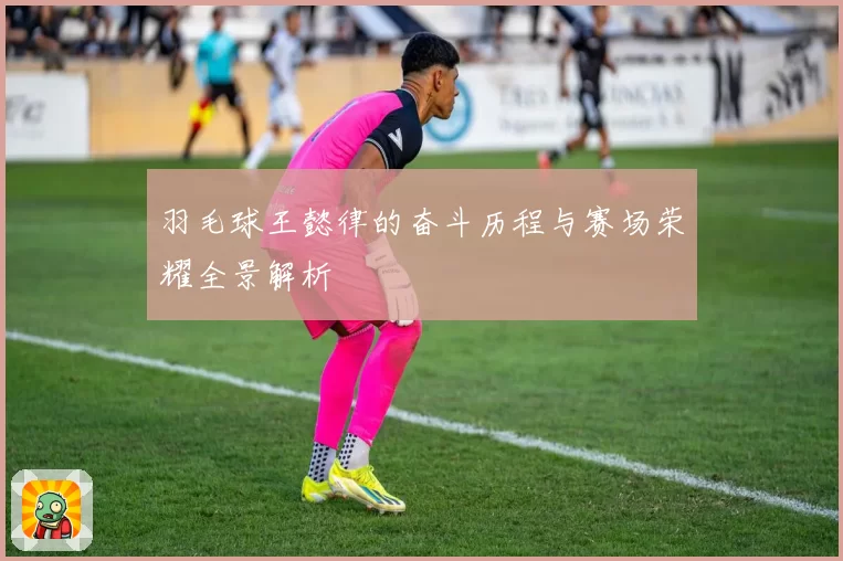 羽毛球王懿律的奋斗历程与赛场荣耀全景解析