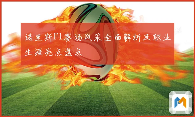 诺里斯F1赛场风采全面解析及职业生涯亮点盘点